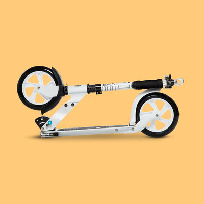 Adult Scooters