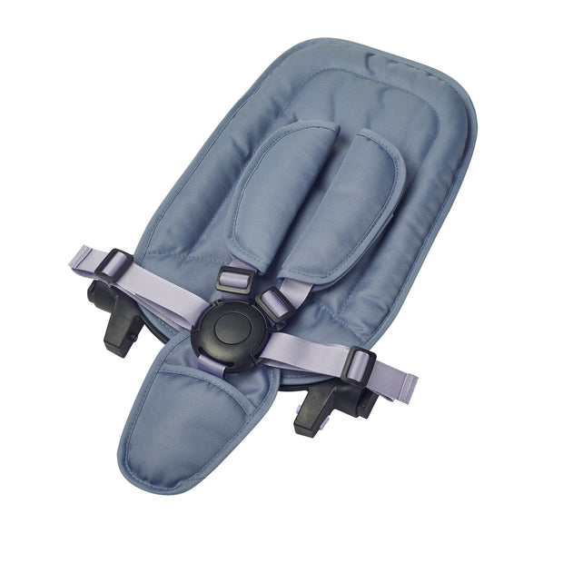 Seat Back Tricycle